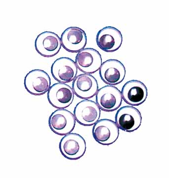 ZAK 50 BEWEGENDE OOGJES 10MM