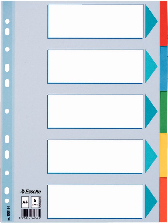ESSELTE TABBLAD KARTON 160G 5TABS