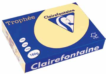 TROPHEE A4 160G KANARIEGEEL 250V 2636C