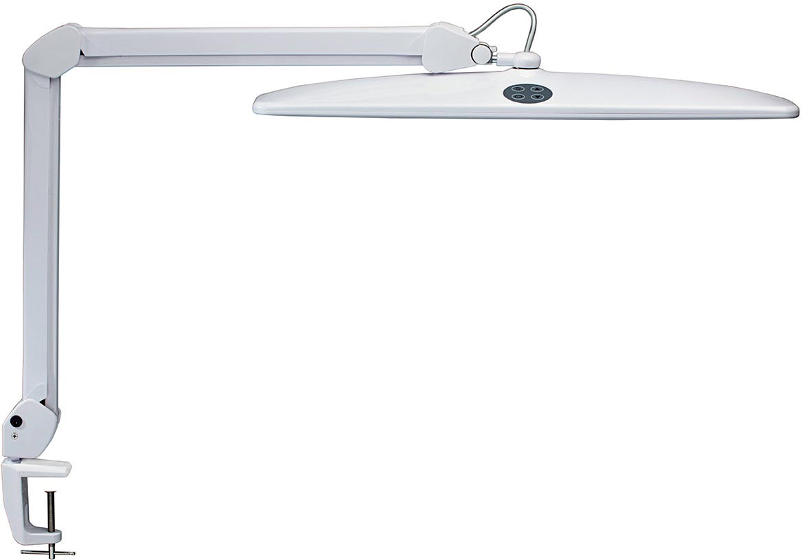 MAUL BUREAULAMP WORK LED                                    