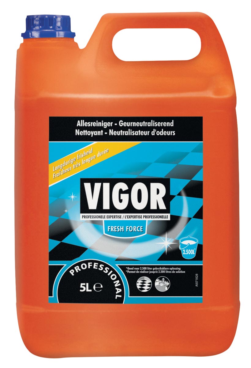 VIGOR ALLESREINIGER 5L