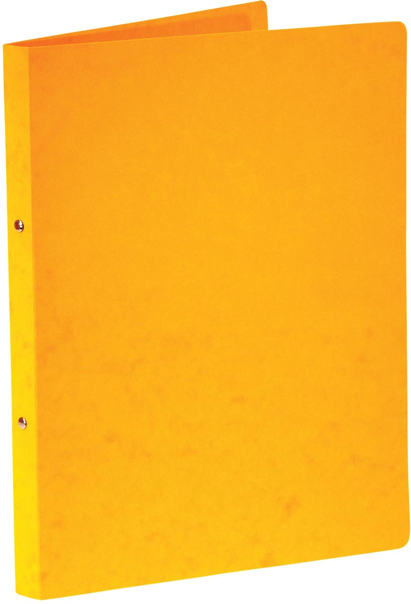 BRONYL RINGM A4 2R 16 MM GL