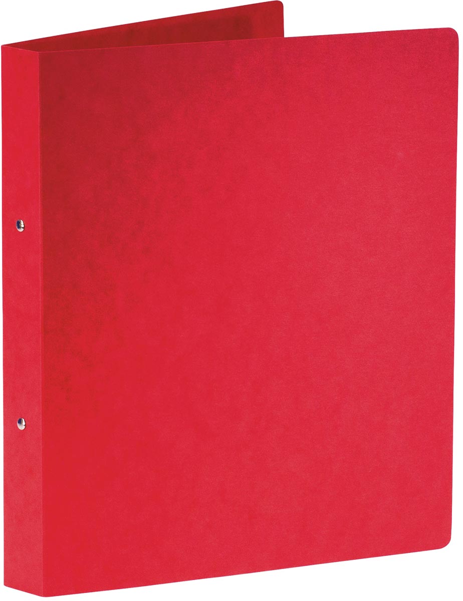 BRONYL RINGM A4 2R 25MM RD