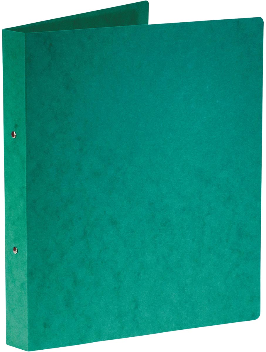 BRONYL RINGM A4 2R 25MM GRN