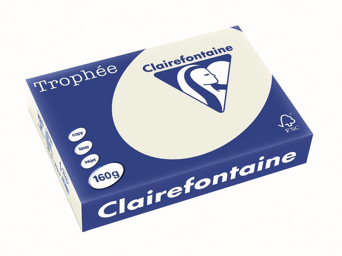 TROPHEE papier A4 160G 250V PARELGRIJS 1041PC
