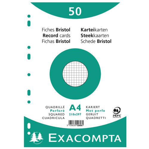 EXAC STEEKKAART A4 RUIT